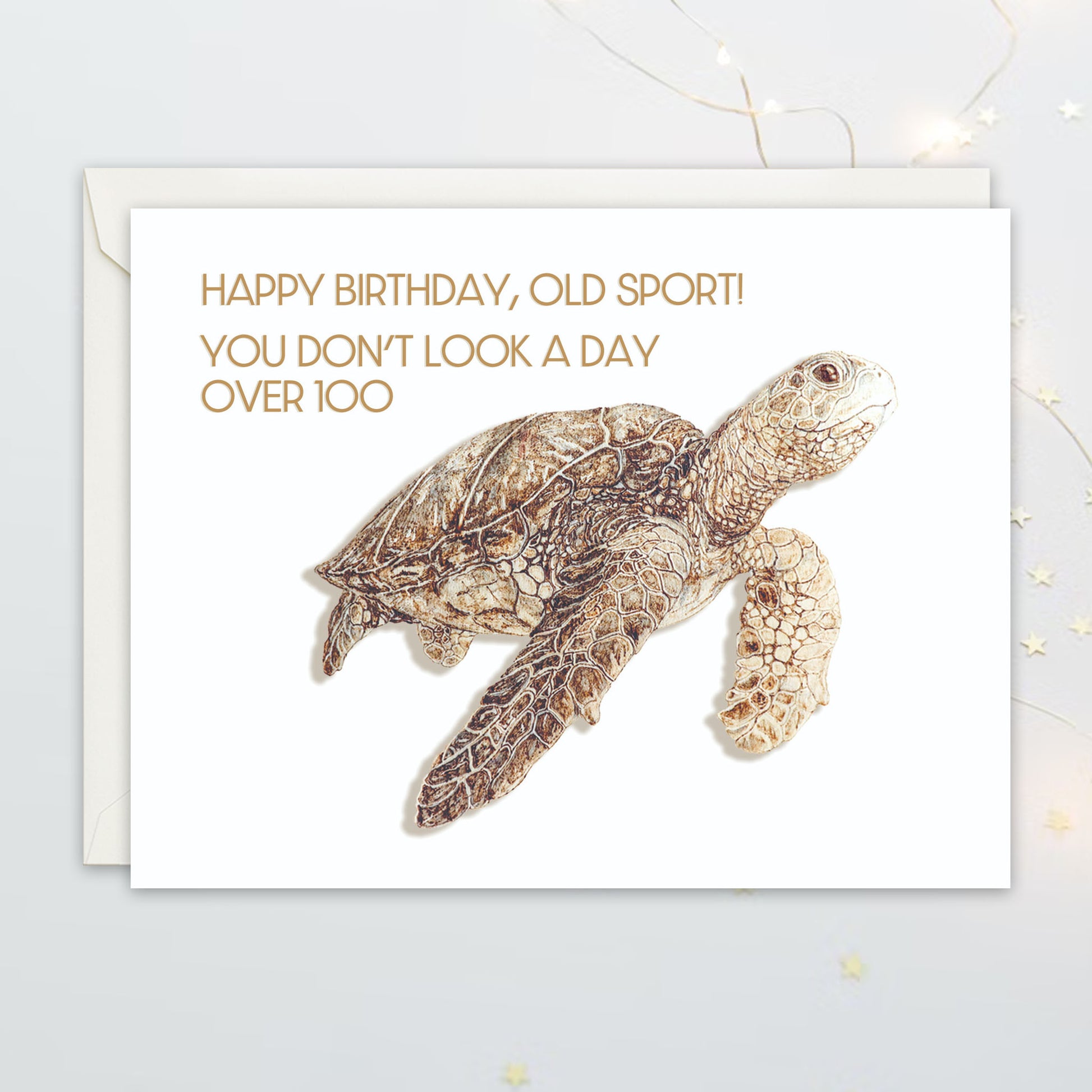 Birthday card with a turtle illustration and humorous text on a light gray background. Text say "Happy birthday, Old Sport! You don't look a day over 100"