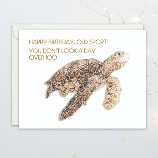 Birthday card with a turtle illustration and humorous text on a light gray background. Text say "Happy birthday, Old Sport! You don't look a day over 100"
