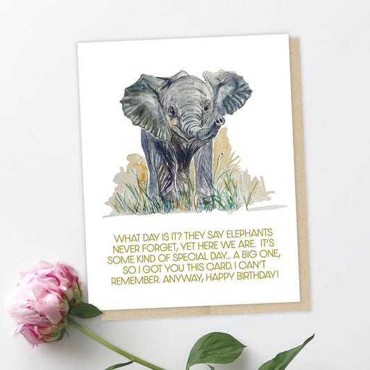 Birthday card of a little elephant. Green text reads, What day is it? They say elephants never forget, yet here we are. It's some kind of big day... a big one, so I got you this card. I can't remember. Anyway, Happy Birthday!