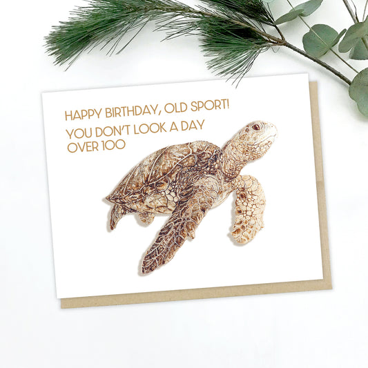 A picture of a birthday card. The card features a hand-drawn sea turtle in sepia tone. The text reads: happy birthday, old sport! You don't look a day over 100. 